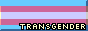 transgender pride flag